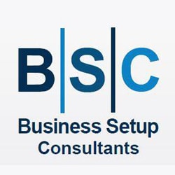 Business Setup Consultants