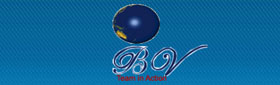 bvcorpmarktech.com