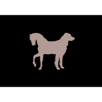DARLING DASH LIMITED