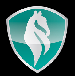 War Horse Agency Digital Marketing