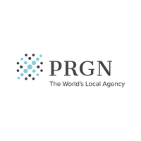 Paragon Electronic Systems, Inc.