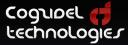cogzidel.com