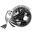 Dove Web Consulting