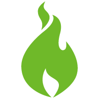 Sapiens Software
