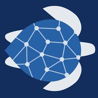 Turtlereality Web Design