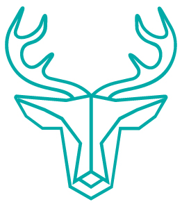 Wired Media Ltd