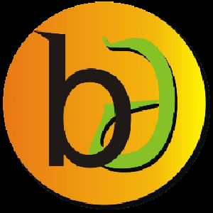 Bikash Digitech
