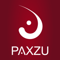PAXZU SA DE CV