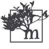 mangrove-web.com