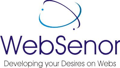 WebSenor InfoTech - Website Design and Website Development Company in Udaipur