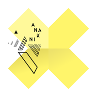 Anakin Design Studio