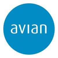 Avian Studio