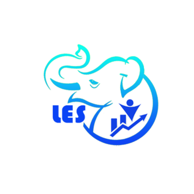 Life Experience Solutions