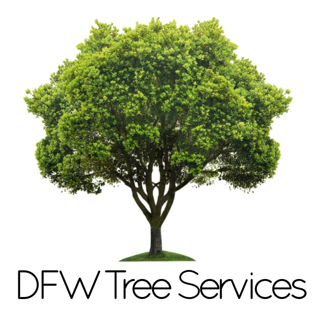 DFW Tree Services