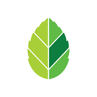 Mint Digital Agency