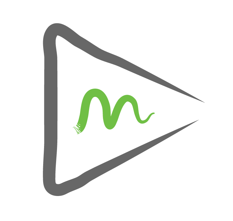 Contenteams Media LLP
