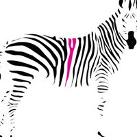 Stripeyhorse Creative