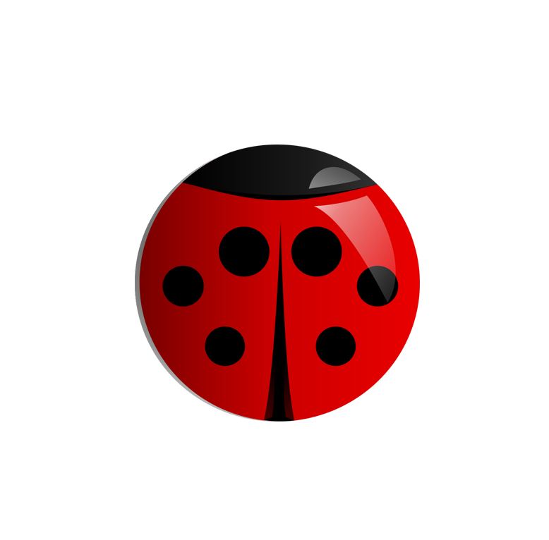 Wady Bug
