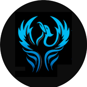 SEO PHOENIX