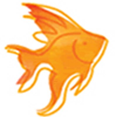 System Development Group