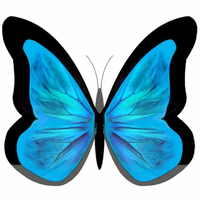 Morpho Marketing