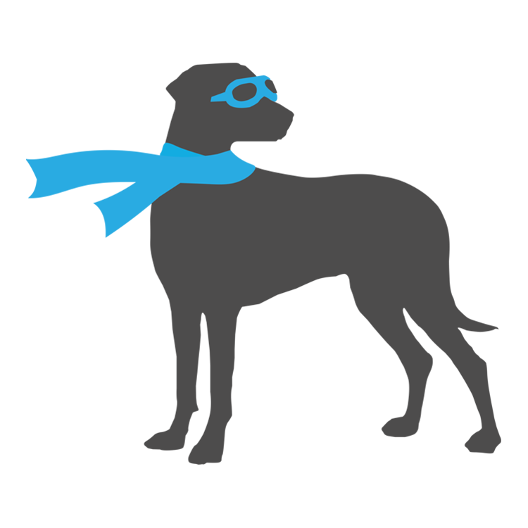 Epic Dog Studios