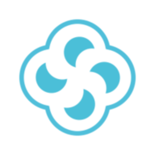 Survin IT Solutions