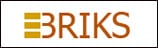 EBRIKS INFOTECH