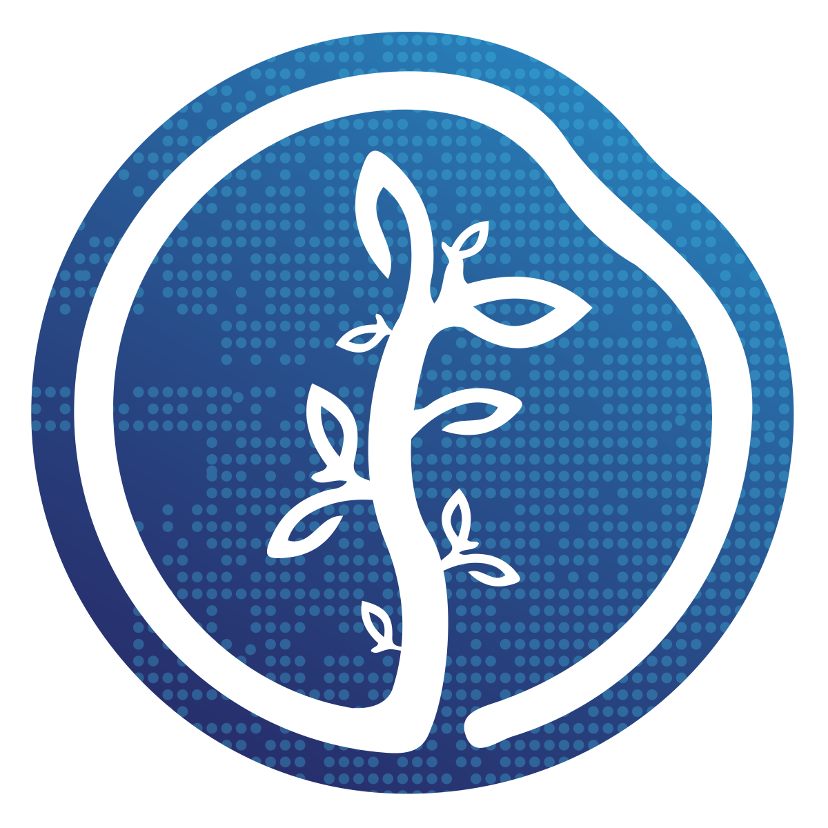SEO & Grow