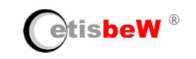 Etisbew Technology Group, Inc.