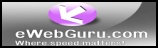 eWebGuru.com