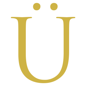 Burgi Technologies