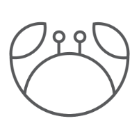 Smashed Crab Studio