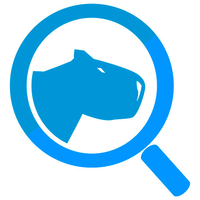 Agencia Experto en SEO