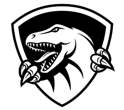 Raptor IT Consultants