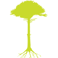 derooted creative agency