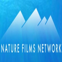 Shark Stock Footage