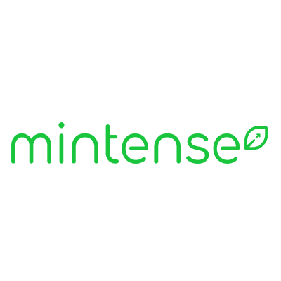 Mintense Digital Marketing