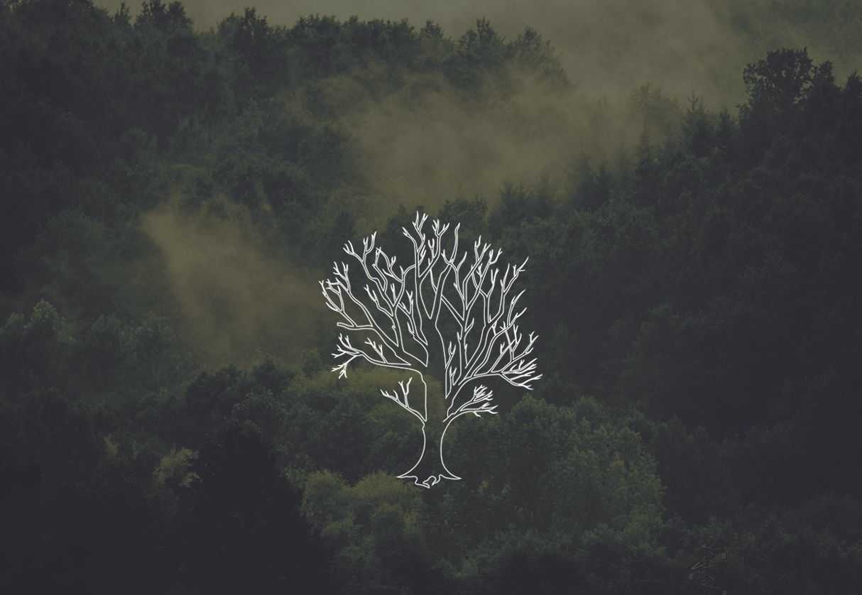 Roble Digital
