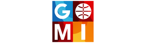 Global Media Insight