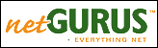 netGURUS LLC