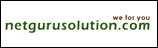 Net Guru Solution