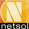 Netsol IT Solutions Pvt. Ltd.