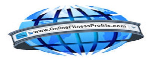 Online Fitness Profits SEO
