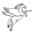 Pegasus InfoCorp Pvt. Ltd.