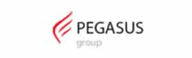 Pegasus Group