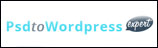 PSDtoWordPressExpert