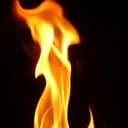 reignite online