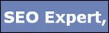 SEO Expert