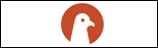 SEO PIGEON